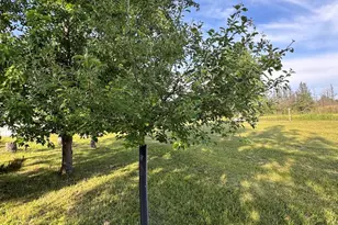 Vl Knute Rd, East Tawas, MI 48730 - Photo 49