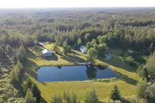 Vl Knute Rd, East Tawas, MI 48730 - Photo 13