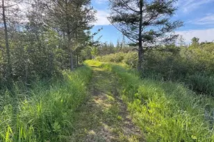 Vl Knute Rd, East Tawas, MI 48730 - Photo 33