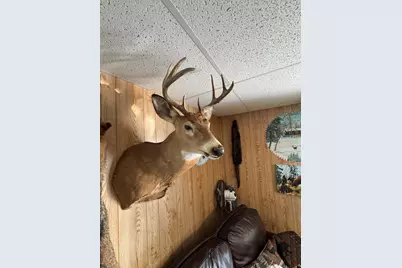 Vl Knute Road, East Tawas, MI 48730 - Photo 79