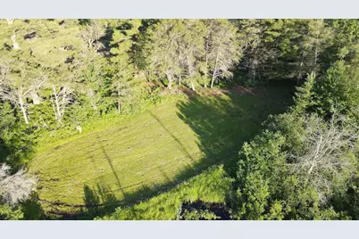 Vl Knute Road, East Tawas, MI 48730 - Photo 15