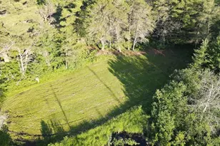 Vl Knute Rd, East Tawas, MI 48730 - Photo 15