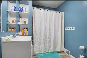 307 N Court St, Stanton, MI 48888 - Photo 17