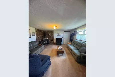 1247 N Steel Road, Merritt, MI 48637 - Photo 7