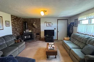 1247 N Steel Rd, Merritt, MI 48637 - Photo 7