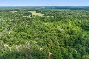 756 N Cottonwood Ave, White Cloud, MI 49349 - Photo 41