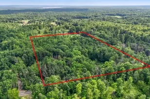 756 N Cottonwood Ave, White Cloud, MI 49349 - Photo 49