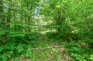 756 N Cottonwood Ave, White Cloud, MI 49349 - Photo 33