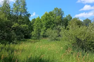 301 S Gordon Rd, Scottville, MI 49454 - Photo 35