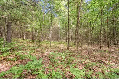 Par 15 W 12 Mile Road, Irons, MI 49644 - Photo 3