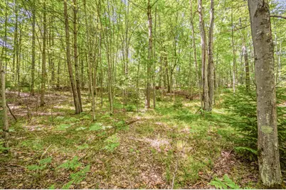 Par 15 W 12 Mile Road, Irons, MI 49644 - Photo 23