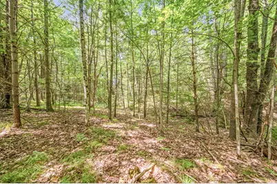 Par 15 W 12 Mile Road, Irons, MI 49644 - Photo 25