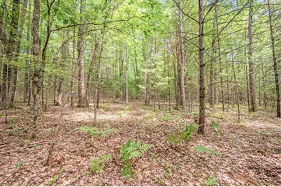 Par 15 W 12 Mile Road, Irons, MI 49644 - Photo 5