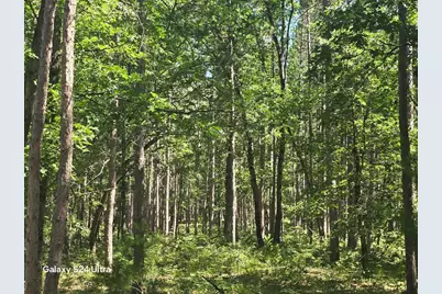 3875 Skocelas Road S, Manistee, MI 49660 - Photo 9