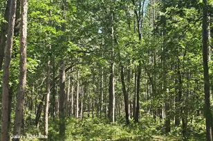 3875 Skocelas Rd S, Manistee, MI 49660 - Photo 9