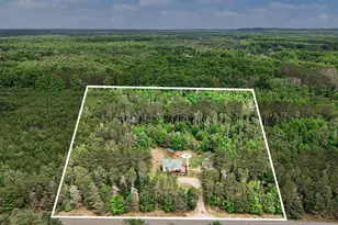 253 S Pine Tree Ln, Beulah, MI 49617 - Photo 7