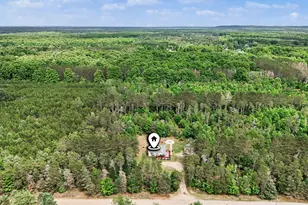 253 S Pine Tree Ln, Beulah, MI 49617 - Photo 37