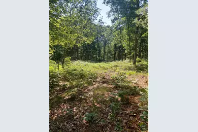 2807 S Evergreen, White Cloud, MI 49349 - Photo 3