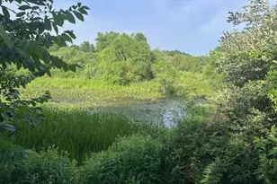 18480 12 Mile Rd, Big Rapids, MI 49307 - Photo 5