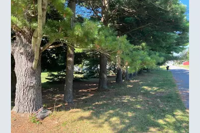 126 Johnson Street, Edmore, MI 48829 - Photo 33