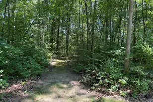 4909 Slayton Rd, Jackson, MI 49201 - Photo 37