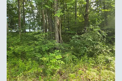 8207 N Hunters Ridge Drive, Irons, MI 49644 - Photo 3