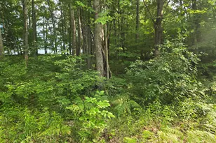 8207 N Hunters Ridge Dr, Irons, MI 49644 - Photo 3