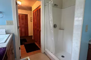 347 Plank Rd, Hudson, MI 49247 - Photo 15