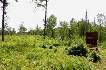 20Ac W Clarence Road, Harrison, MI 48625 - Photo 15