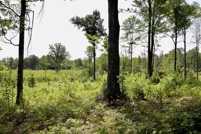 20Ac W Clarence Road, Harrison, MI 48625 - Photo 13