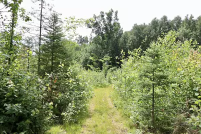 20Ac W Clarence Road, Harrison, MI 48625 - Photo 9