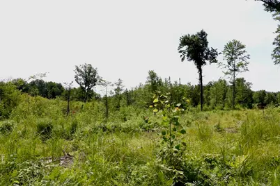 20Ac W Clarence Road, Harrison, MI 48625 - Photo 25