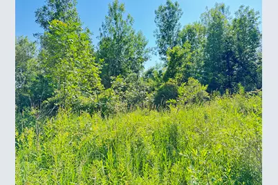 13513 100th Street SE, Alto, MI 49302 - Photo 3