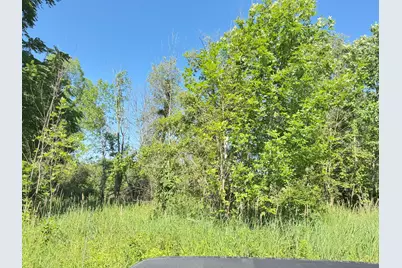 13513 100th Street SE, Alto, MI 49302 - Photo 5