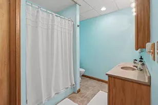 21458 Forest Lake Dr, Big Rapids, MI 49307 - Photo 29