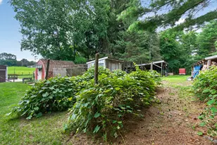 1611 S Williamston Rd, Dansville, MI 48819 - Photo 51
