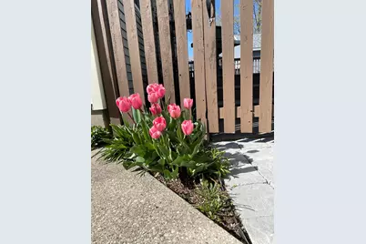 246 Alten Avenue NE, Grand Rapids, MI 49503 - Photo 29