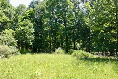 4718 W Church Road, Six Lakes, MI 48886 - Photo 31
