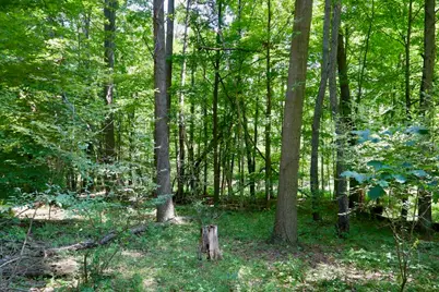 4718 W Church Road, Six Lakes, MI 48886 - Photo 35