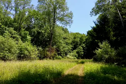4718 W Church Road, Six Lakes, MI 48886 - Photo 29