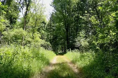 4718 W Church Road, Six Lakes, MI 48886 - Photo 25