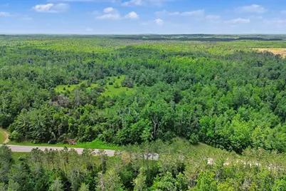 Vl -A- Centerline Road, Mio, MI 48647 - Photo 5