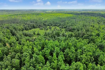 Vl -B- Centerline Road, Mio, MI 48647 - Photo 13