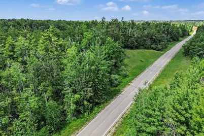 Vl -B- Centerline Road, Mio, MI 48647 - Photo 3