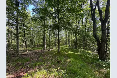 40 V/L 80th Avenue, Rodney, MI 49342 - Photo 23