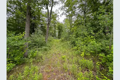 40 V/L 80th Avenue, Rodney, MI 49342 - Photo 7