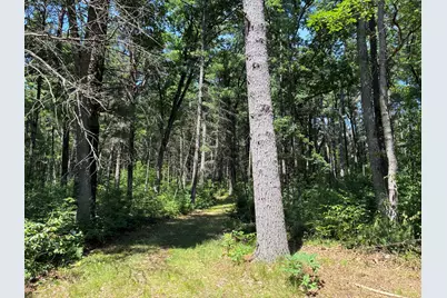 V/L E 40th Street, White Cloud, MI 49349 - Photo 13