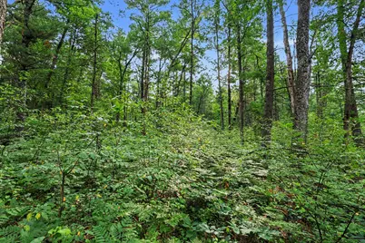 V/L E 40th Street, White Cloud, MI 49349 - Photo 15