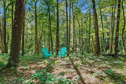 V/L E 40th Street, White Cloud, MI 49349 - Photo 7
