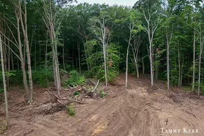63rd Street #Remainder, Saugatuck, MI 49453 - Photo 3